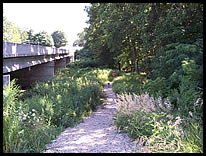 path to river at Burlington